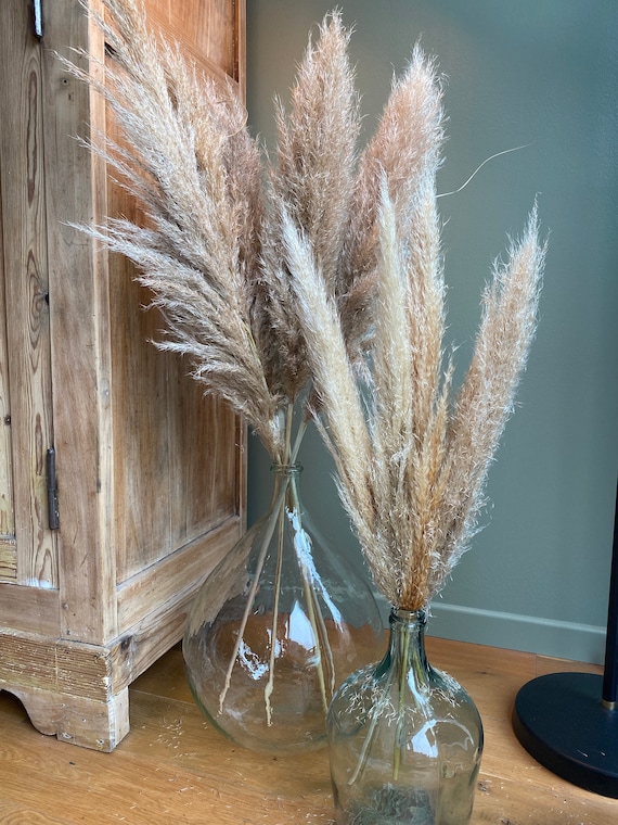 Decorazione Fiori Secchi Pampas Artificiali - Vaso Con Rami Pampas, Altezza ~47 Cm, Tessuto Setoso, Per Casa, Matrimoni, Natale, Regalo Bohémien