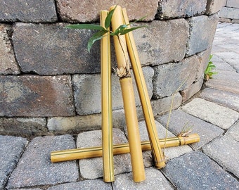 Natural Bamboo 12" X 3/4" - 1" Sticks, cuttings, shoots.  Great for crafts, staking trees, poles, wind chimes, diy, canes, supplies.