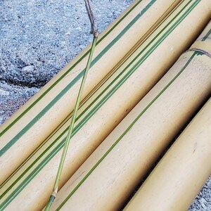 May include: Four beige bamboo poles with green stripes. The poles are stacked on top of each other.