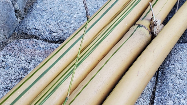 May include: Four beige bamboo poles with green stripes. The poles are stacked on top of each other.