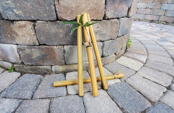 Natural Bamboo Sticks: 12" Craft Supplies, Plant Stakes