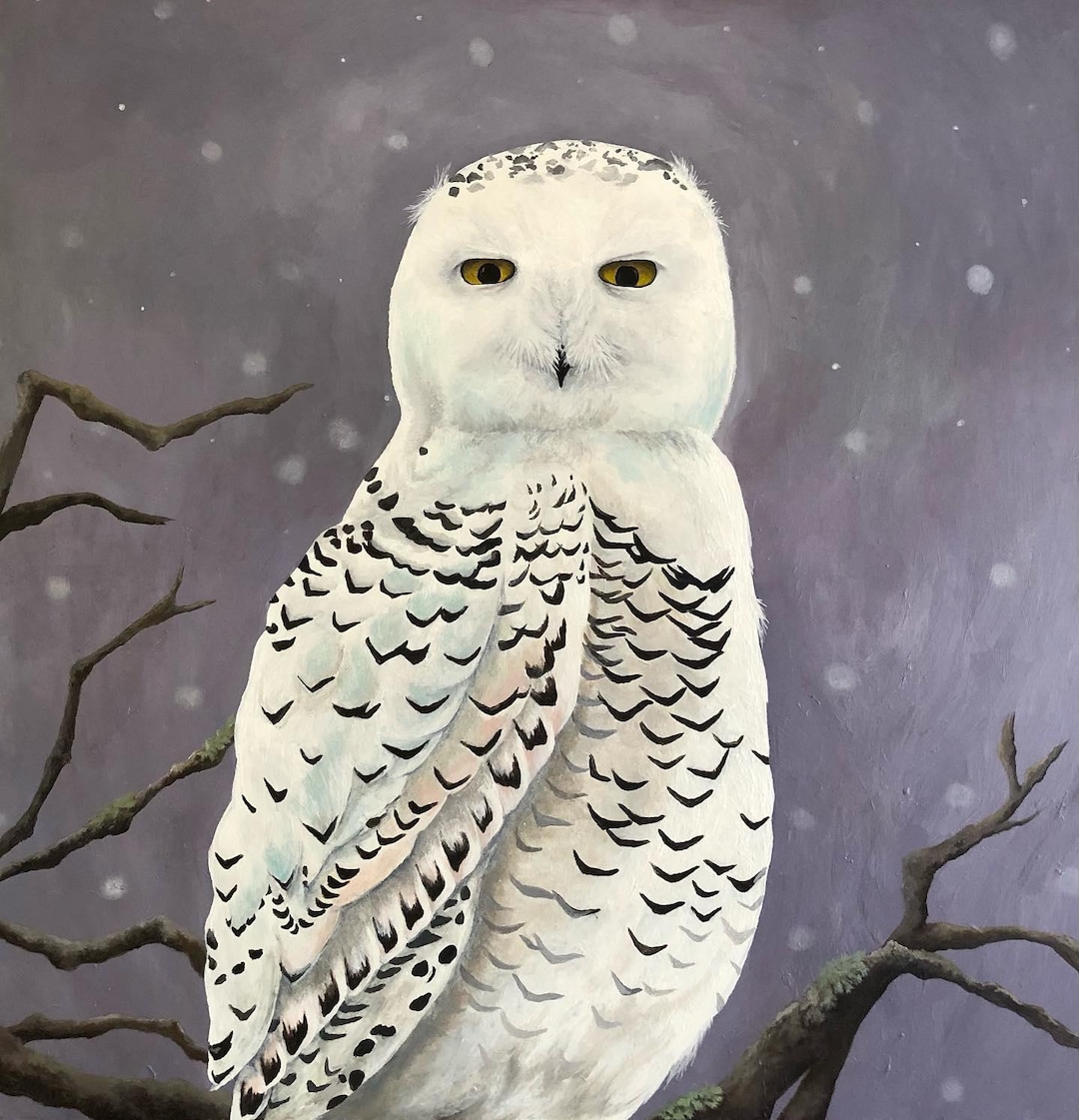 PRINT ~ Snowy Owl ~ Winter Art ~ Snow Scene ~ Nature Art ~ Lichens ...