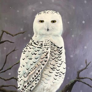 May include: A snowy owl with white and black feathers sits on a branch against a purple background with white snowflakes.