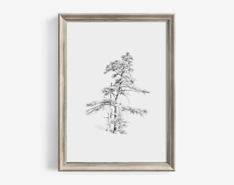 Antique Pine Tree Sketch Vintage Wall Art Print Digital Downloadable | Minimalist Neutral Printable Romm Decor | 62