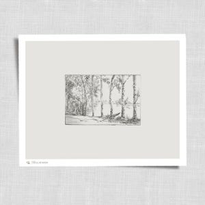 Forest Tree Sketch Prints | Vintage Minimalist Farmhouse Cottagecore Wall Art | Rustic Woodland Drawing | 214