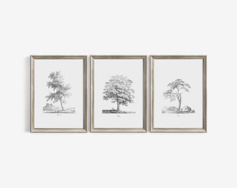 Trees Pencil Drawing set of 3 prints | Vintage Sketch Printable | Minimalist Wall Art Room Decor | Digital Downloadable | 120