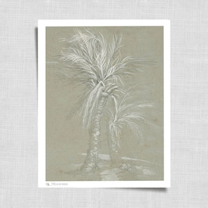 Arte de parede verde sálvia com folhas de palmeira tropicais vintage - Desenho de árvore, desenho de folha de bananeira botânica | Download de decoração rústica para impressão | 49