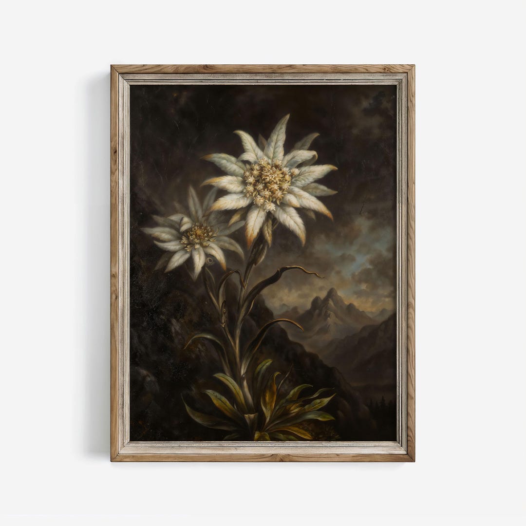 アンティークの押し花アート（エーデルワイスのエルビエ） il_1080xN.8541170887_lqal.jpg
