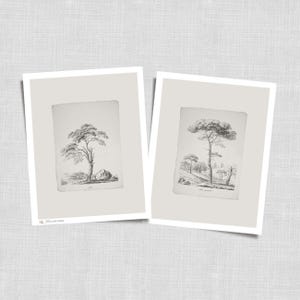 Pine Tree Sketch Vintage Set of 2 Prints | Botanical Forest Wall Art | Rustic Nature Drawing Digital Download | 117