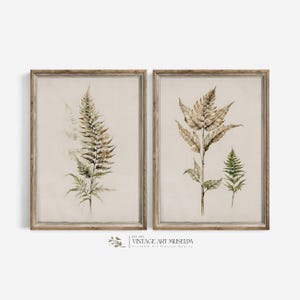 Vintage Fern Prints set of 2 Wall Art | Watercolor Botanical Painting | Printable Country Farmhouse Home Decor | Digital Downloadable | 28