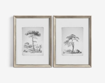Pine Tree Sketch Vintage Set of 2 Prints Nature Drawing - Large Printable Wall Art Neutral Rustic Home Decor Digital Download | 117