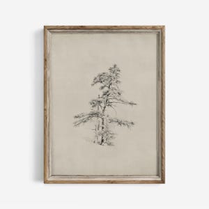 Esboço de pinheiro antigo: impressão de arte de parede minimalista de casa de fazenda (download digital) | 62