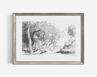 Twisted Tree Vintage Sketch Art Print Landscape Drawing Printable Artwork for Country Farmhouse Wall Decor Downloadable | 189