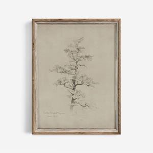 Vintage Pine Tree Pencil Sketch Print: Farmhouse Cottagecore Decor (Digital Printable) | 215
