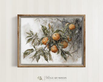 Tangerine Branch Still Life Kitchen Wall Art | Vintage Fruit Botanical Painting Print for Citrus Charm Farmhouse Decor Downloadable | 197