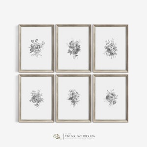 Vintage Botanical Gallery Wall Set of 6 Prints Minimalist Wall Art Neutral Sketches - Floral Printable French Decor Downloadable | S6-2