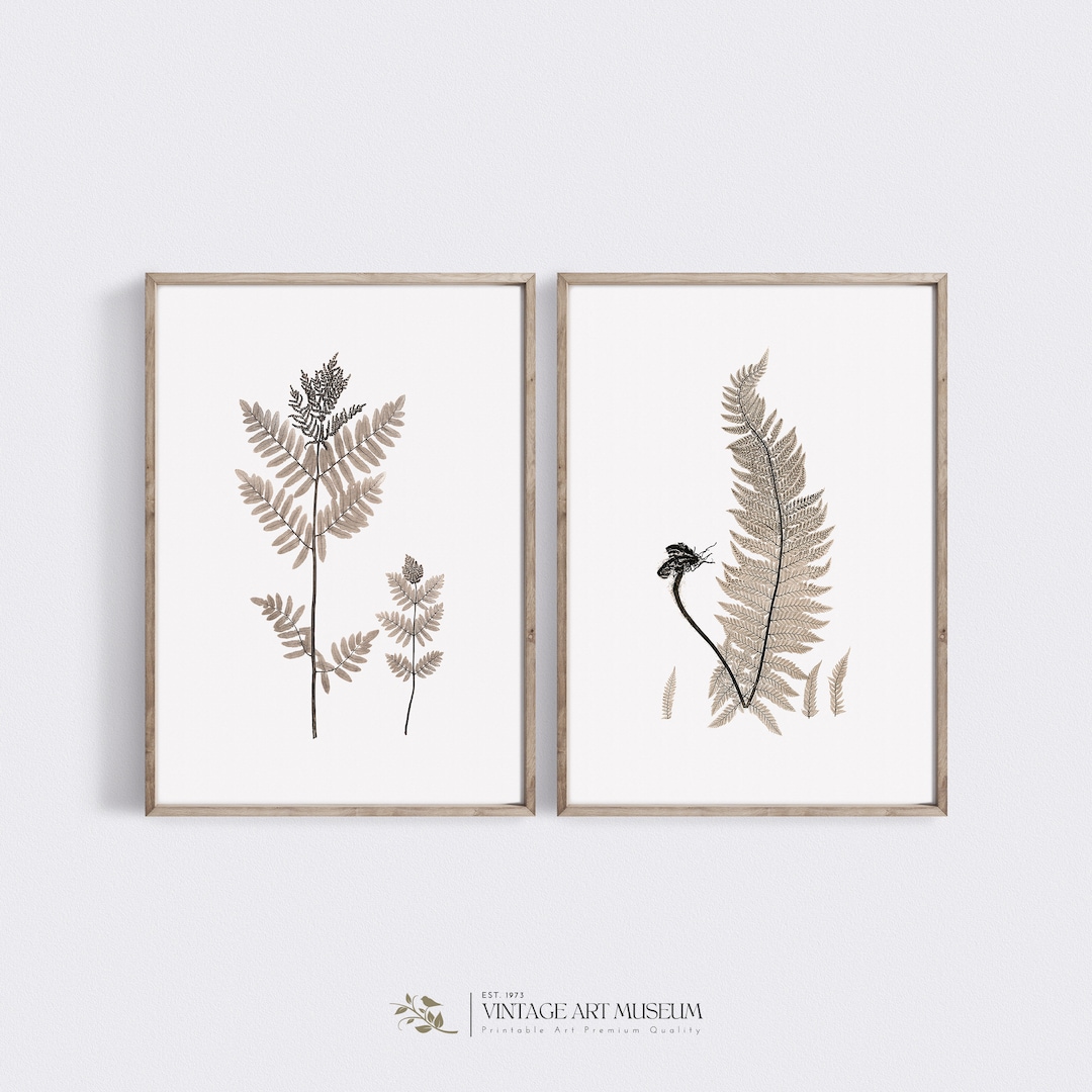 Rankstab Farn Metall Edelrost - Dekorative Kletterhilfe Für Garten Und Balkon