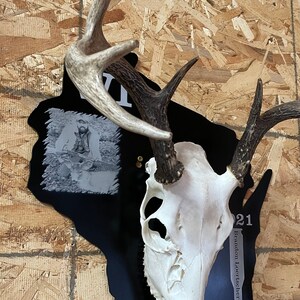 Arrowhead Whitetail Woodcrafters Camo Skull European Taxidermy Mount Plaque 