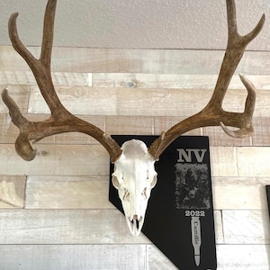 May include: A black wooden plaque shaped like the state of Nevada with a white deer skull mounted on it. The plaque has the letters "NV" and the year "2022" engraved on it. The word "Camille" is also engraved on the plaque.