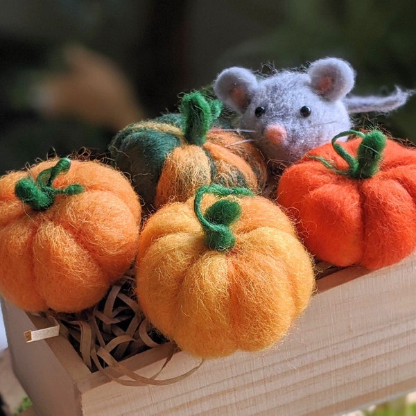 Needle felted pumpkin, choose your own colour and set of 2/3/4/5, rustic autumn decor, thanksgiving decoration [Made to order]