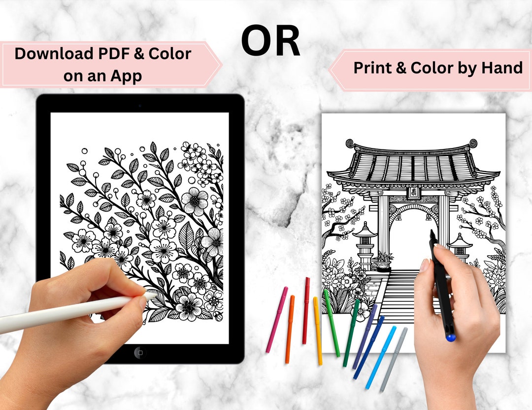 Asian Designing Coloring Book Adult Coloring Pages Instant Download PDF
