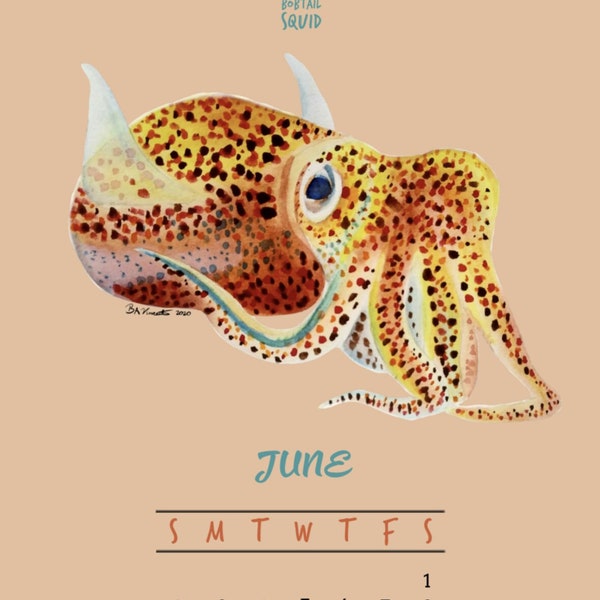 June 2024 Calendar - Hawaiian Bobtail Squid, Printable