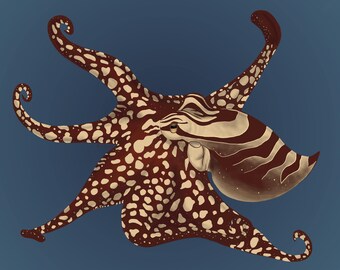 Octopus Print Larger Pacific Striped Octopus Digital Painting 8x10 Giclee Archival Art Print Octopus Art Prints Art Collectibles Delage Com Br
