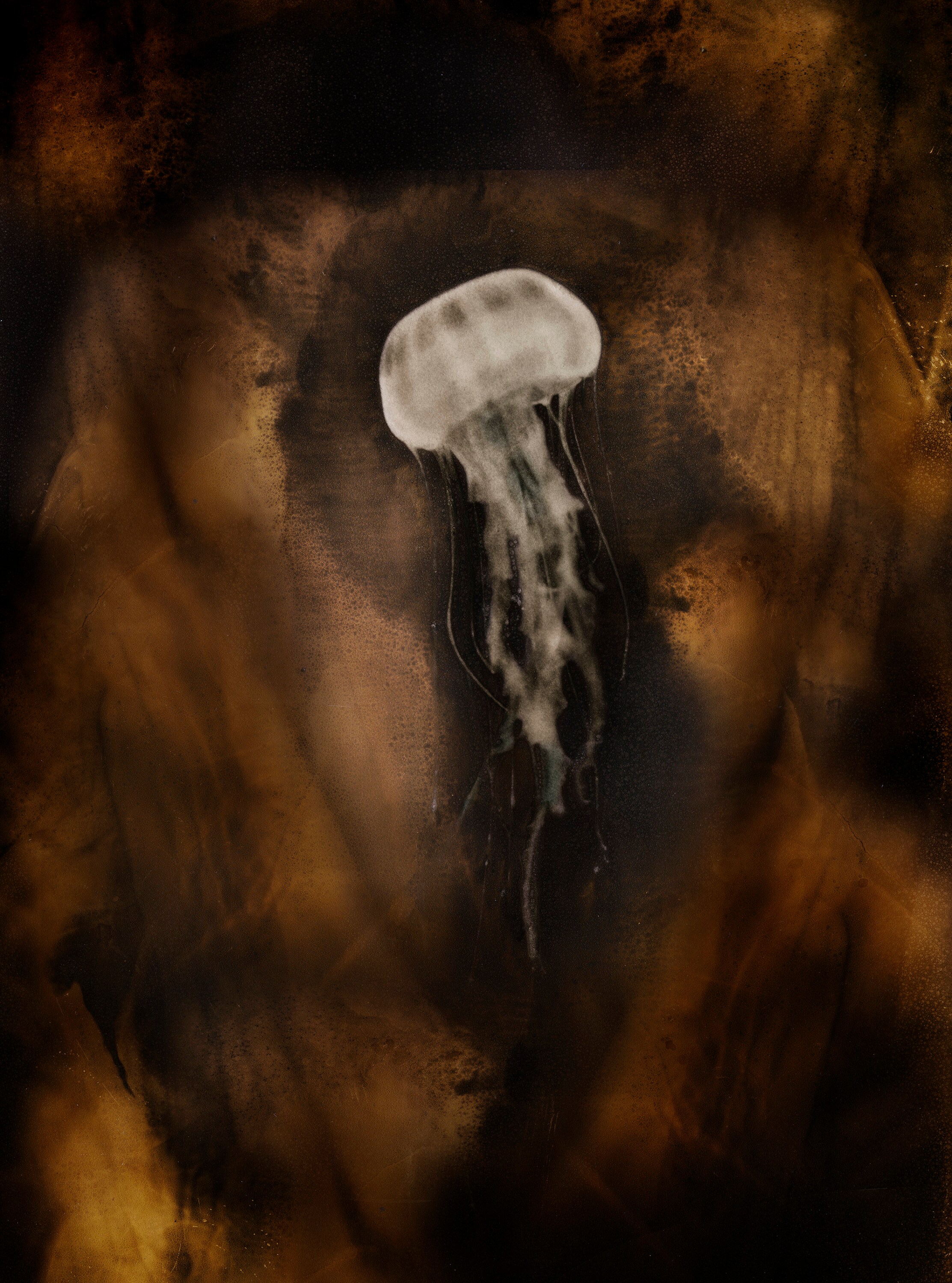 Interprétation Numérique Méduse Mordancée