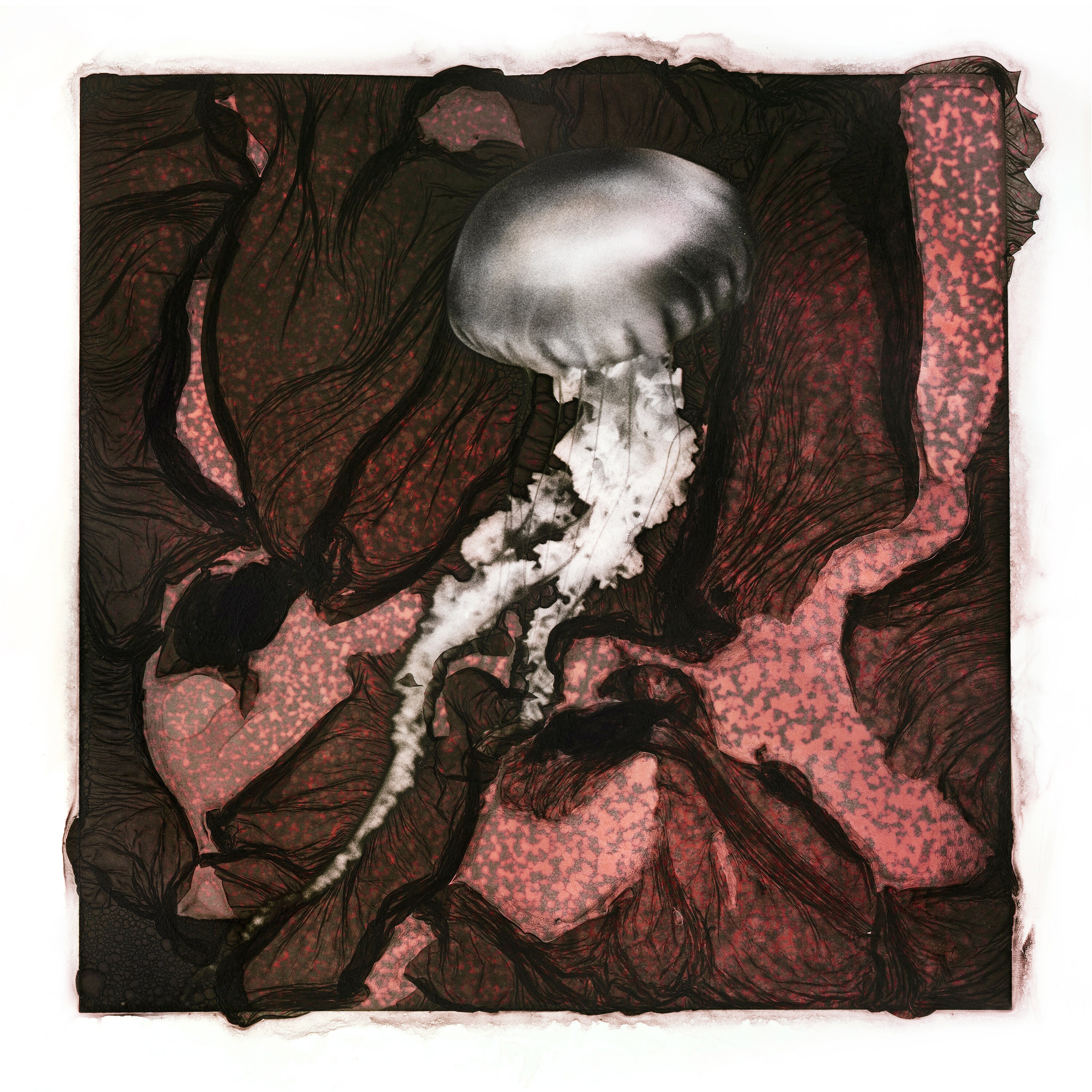 Interprétation Numérique Méduse Mordancée