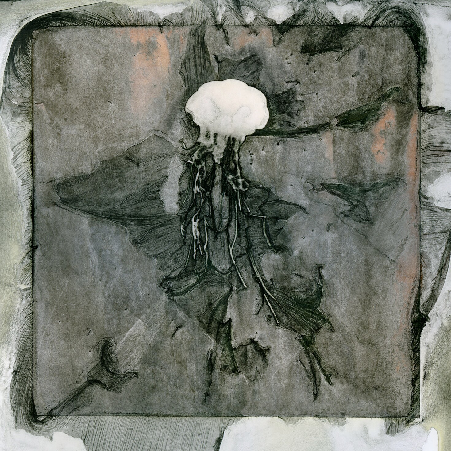 Interprétation Numérique Méduse Mordancée