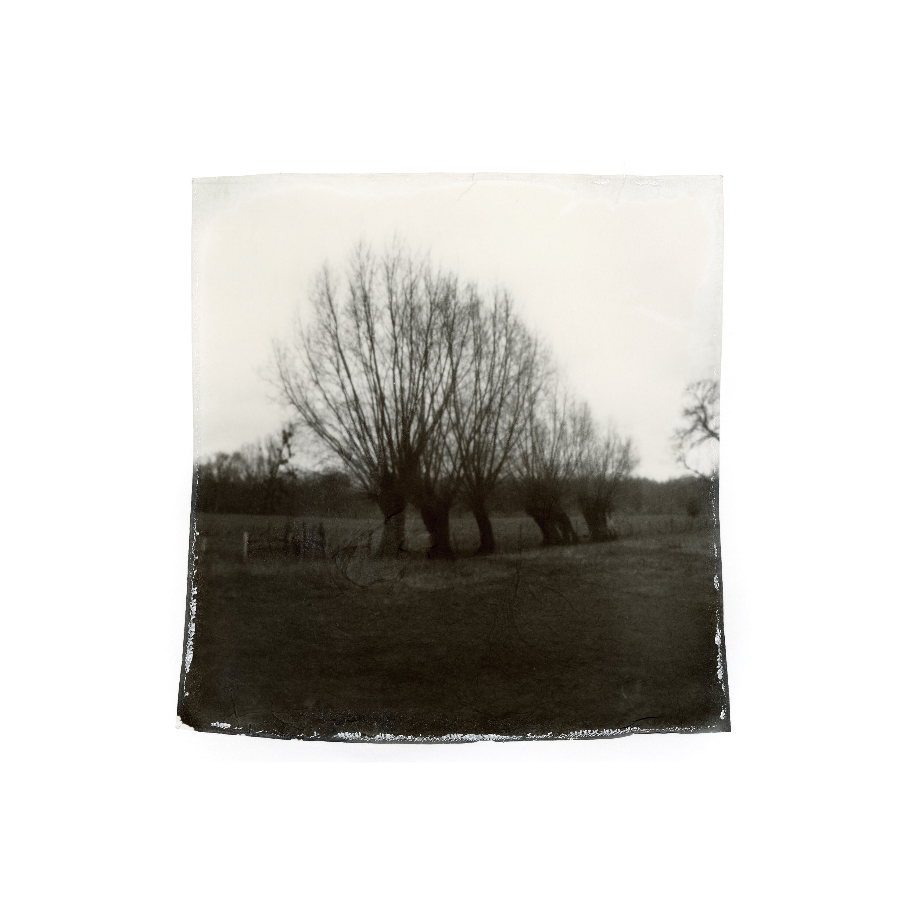 Reproduction Émulsionnage de Polaroid - Rural 1