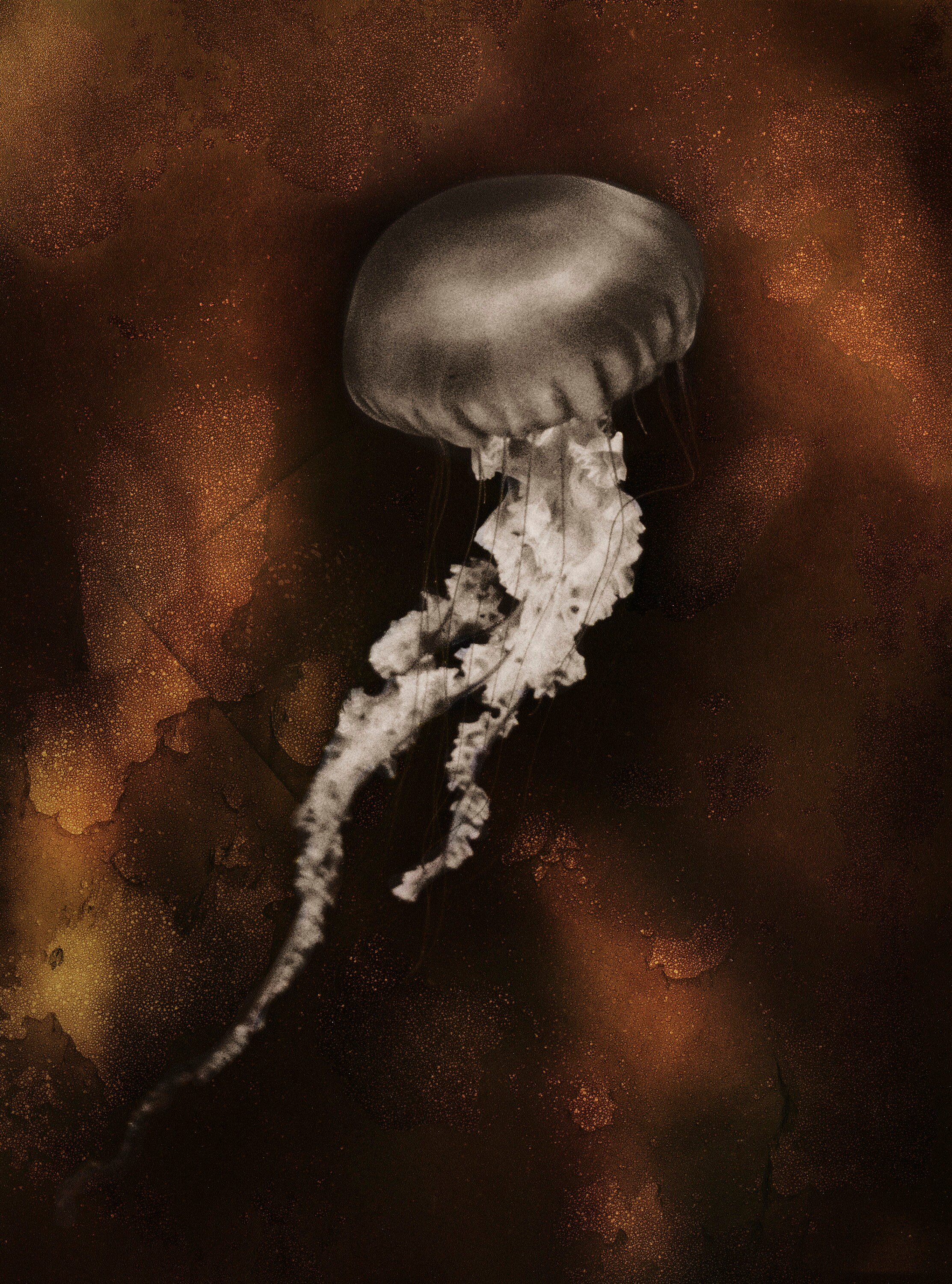 Interprétation Numérique Méduse Mordancée