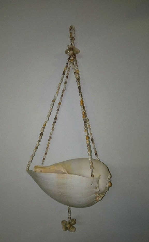 LARGE sea shell bailer plant hanger. Indoor or outdoor Etsy