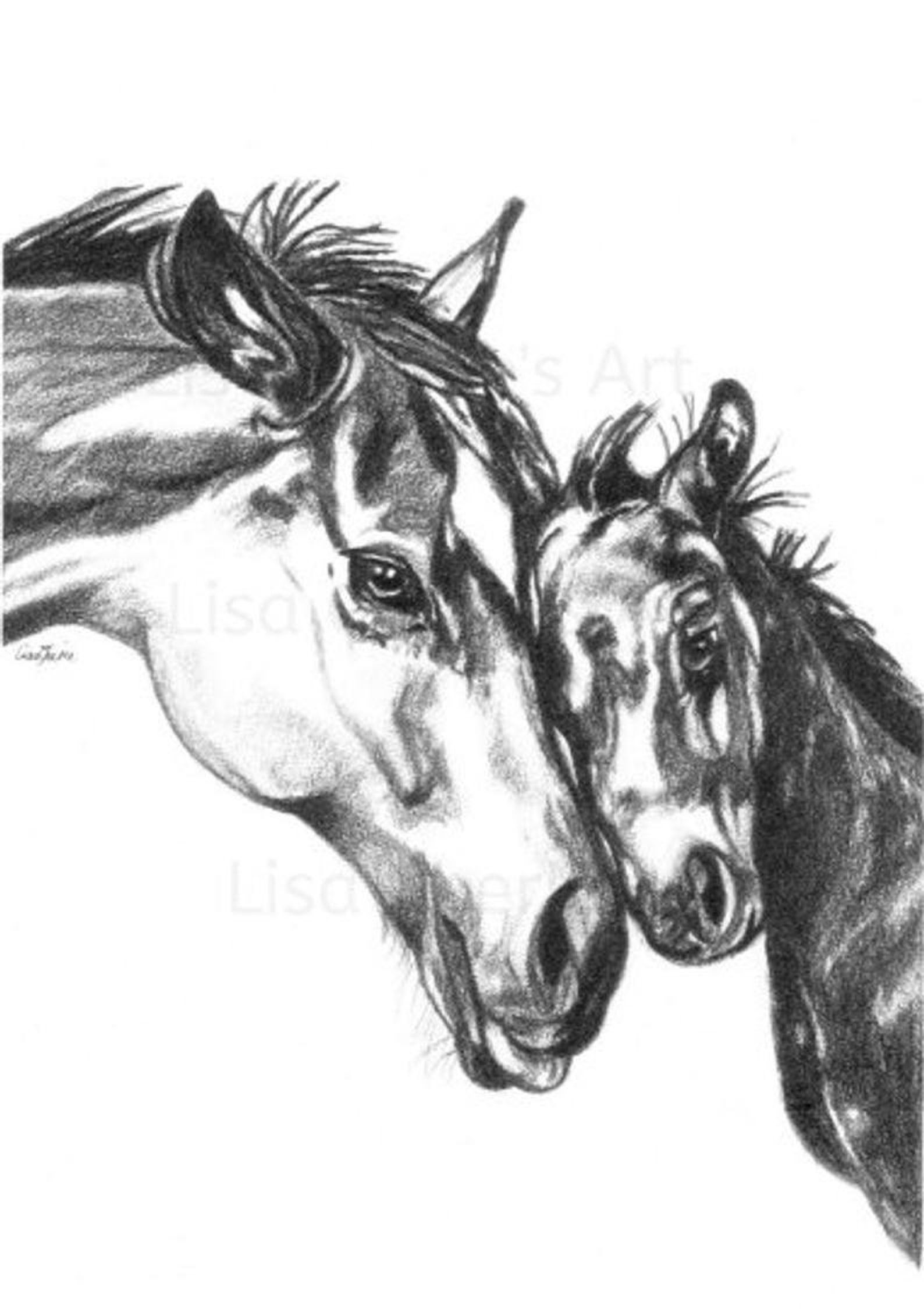 Instant Downloadmother and Baby Horse Art A4animal Nursery Etsy Australia