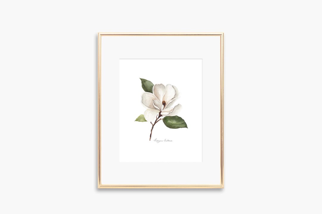 Magnolia Flower Watercolor Art Print, Botanical Wall Decor - Etsy