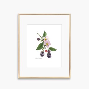 Blackberry Art Print, Summer Wall Art, Vintage Berry Print, Vintage watercolor fruit, Kitchen Wall Art, Watercolor Illustration, Strawberry