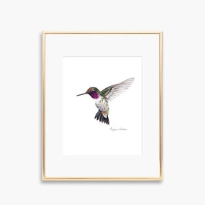 Hummingbird Nursery Art Print,Hummingbird Watercolor Art, Whimsical Animal Art, Hummingbird Art Wall Decor