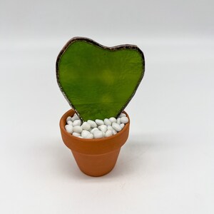 Hoya Kerrii Heart Shaped stained glass handmade plant in a terracotta pot - Original Design miniature size free shipping