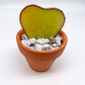 Hoya Kerrii Heart Shaped stained glass handmade plant in a terracotta pot - Original Design small size free shipping