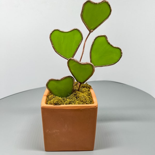 Hoya Kerrii Vitrail en forme de cœur plante faite à la main - Design original Grande taille livraison gratuite