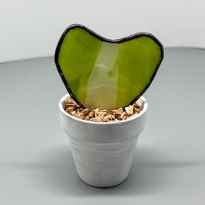 Hoya Kerrii Heart Shaped stained glass handmade plant in a terracotta pot - Original Design small size free shipping