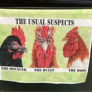 Strofinaccio da cucina con gallo divertente, strofinaccio da cucina in stile fattoria, regalo per gli amanti del pollo, decorazione da cucina audace, strofinaccio divertente, collezionista di polli, umorismo da cortile