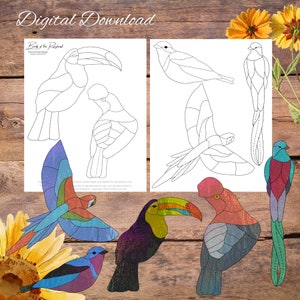 Birds of the Rainforest, Simple Birds Suncatcher, bird pattern, Stained Glass Pattern, glasswork Pattern, Suncatcher Pattern