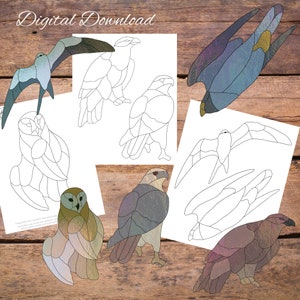 Birds of Prey, Large Simple Birds Suncatcher, Easy glass bird pattern, Stained Glass Pattern, glasswork Pattern, Suncatcher Pattern