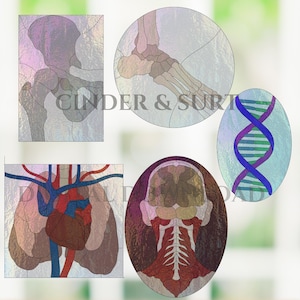 May include: A collection of five stained glass patterns featuring anatomical illustrations including a human hip, a foot, a DNA double helix, a heart with lungs, and a posterior view of the head and neck, with the text CINDER & SURT visible.