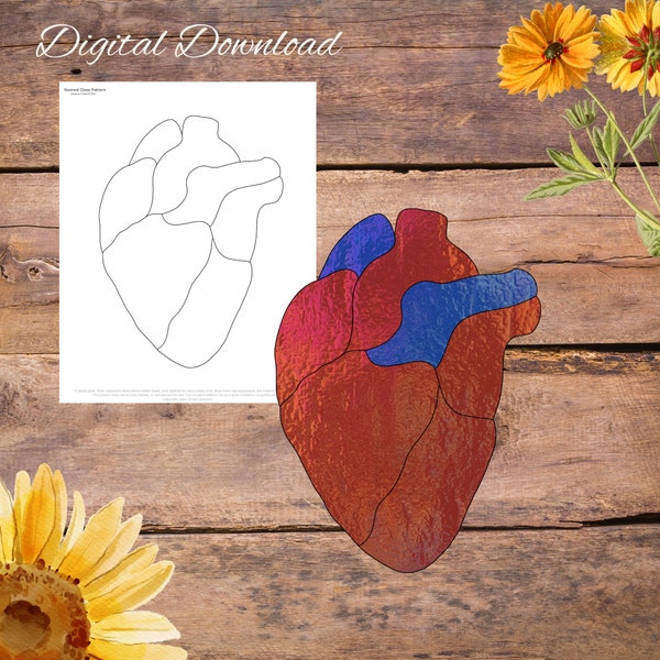 Anatomical Heart, Simple, Realistic Heart Stained Glass Pattern, Digital Stained Glass  Pattern, Printable Glass Pattern,  Glasswork pattern
