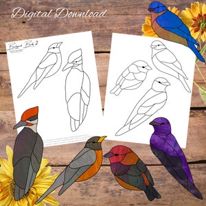Pájaros del patio trasero 2, atrapasol de vidrio para pájaros, patrón de vidrio para pájaros petirrojos, patrón de vidrieras, patrón de cristalería, patrón de atrapasol