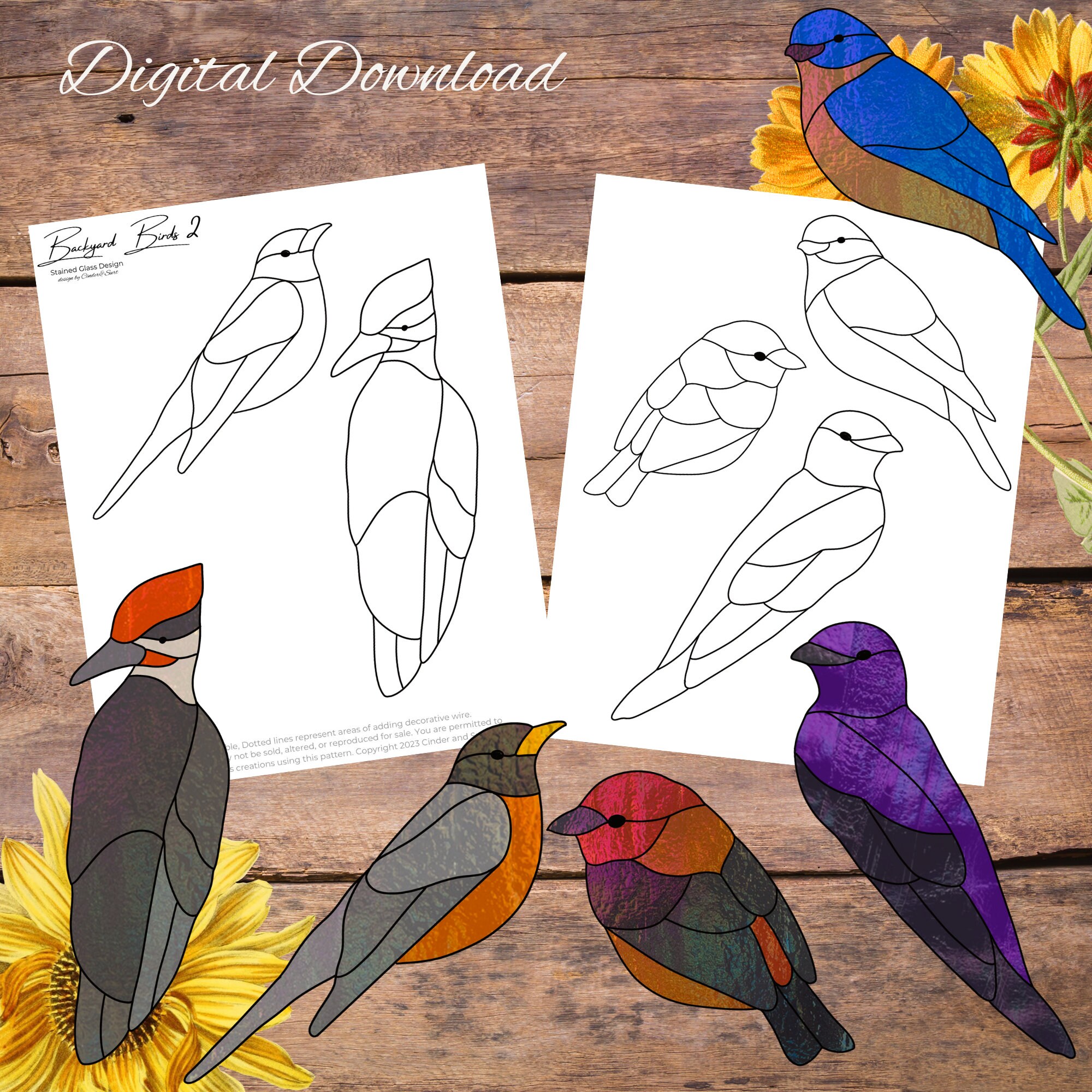 Backyard Birds 2, Simple Easy Bird Glass Suncatcher, Bird Pattern, Stained Glass Pattern, Glasswork Pattern, Suncatcher Pattern - Etsy