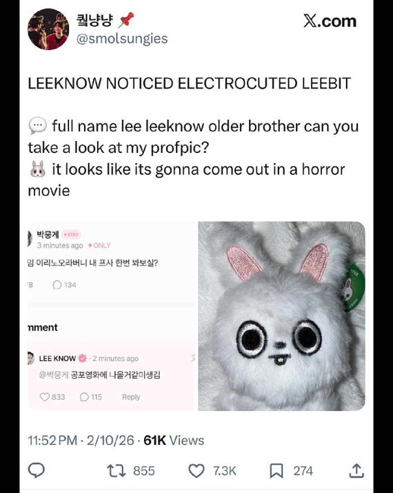 Fake Eyes Open Leebit Plush - Etsy