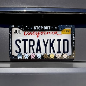 SKZ License Plate V2
